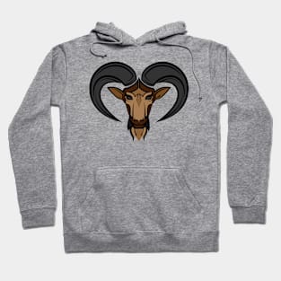 Capricorn Hoodie